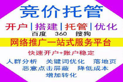某电商平台的SEM优化案例分享